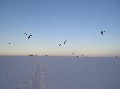 kiteboarding-kurz-na-novych-mlynech-21-153.jpg